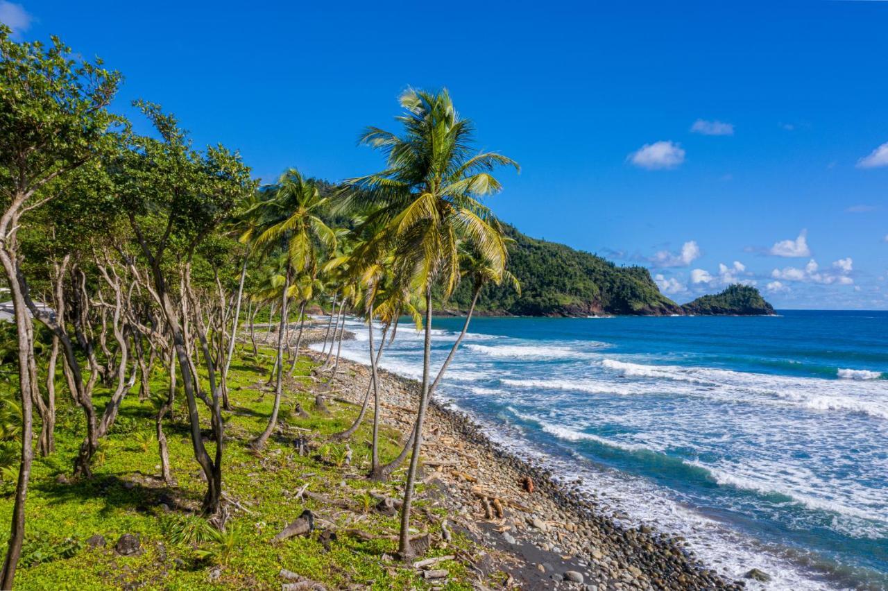Rosalie Bay Eco Resort & Spa Экстерьер фото