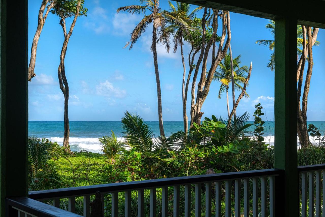 Rosalie Bay Eco Resort & Spa Экстерьер фото